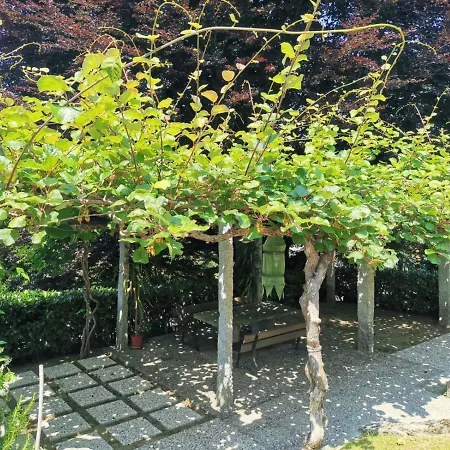 La Motte Appartement Luino